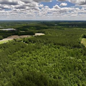 Photo #2 of Off Woodridge Road, Enfield, NC 27.9 acres
