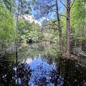 Photo #24 of Off Woodridge Road, Enfield, NC 27.9 acres