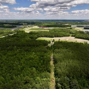 Photo #3 of Off Woodridge Road, Enfield, NC 27.9 acres