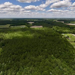 Photo #5 of Off Woodridge Road, Enfield, NC 27.9 acres