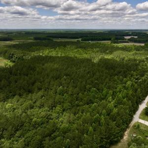 Photo #6 of Off Woodridge Road, Enfield, NC 27.9 acres