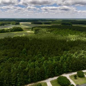 Photo #7 of Off Woodridge Road, Enfield, NC 27.9 acres