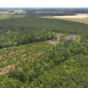 Photo #10 of Off Chance Blvd, Robersonville, NC 34.4 acres