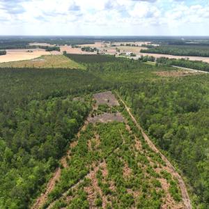 Photo #11 of Off Chance Blvd, Robersonville, NC 34.4 acres
