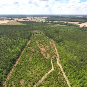 Photo #12 of Off Chance Blvd, Robersonville, NC 34.4 acres
