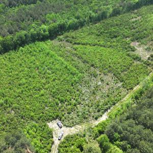 Photo #13 of Off Chance Blvd, Robersonville, NC 34.4 acres