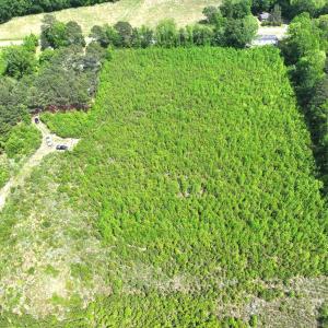 Photo #18 of Off Chance Blvd, Robersonville, NC 34.4 acres