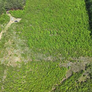 Photo #19 of Off Chance Blvd, Robersonville, NC 34.4 acres