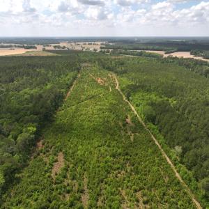Photo #1 of Off Chance Blvd, Robersonville, NC 34.4 acres