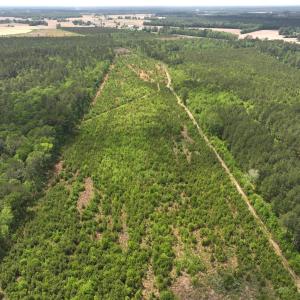 Photo #2 of Off Chance Blvd, Robersonville, NC 34.4 acres