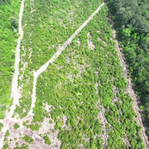 Photo #20 of Off Chance Blvd, Robersonville, NC 34.4 acres