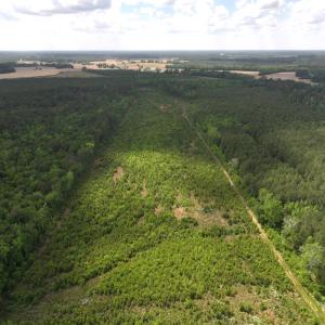 Photo #3 of Off Chance Blvd, Robersonville, NC 34.4 acres