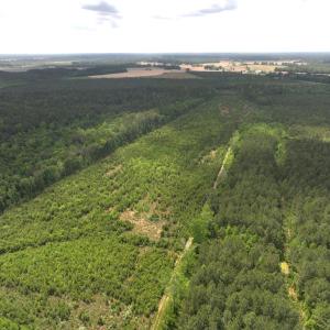 Photo #4 of Off Chance Blvd, Robersonville, NC 34.4 acres