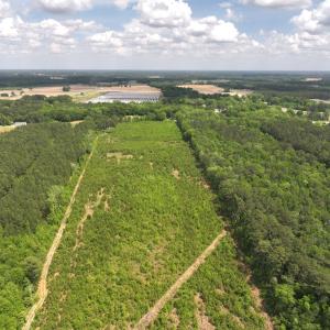 Photo #6 of Off Chance Blvd, Robersonville, NC 34.4 acres