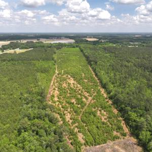 Photo #7 of Off Chance Blvd, Robersonville, NC 34.4 acres