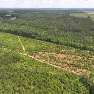 Photo #8 of Off Chance Blvd, Robersonville, NC 34.4 acres