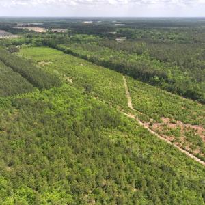 Photo #9 of Off Chance Blvd, Robersonville, NC 34.4 acres