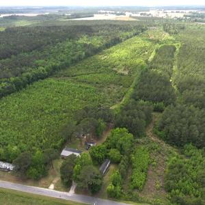 Photo #22 of Off Chance Blvd, Robersonville, NC 34.4 acres