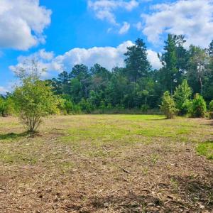 Photo #24 of Off Chance Blvd, Robersonville, NC 34.4 acres