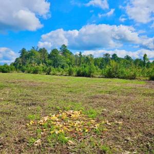Photo #25 of Off Chance Blvd, Robersonville, NC 34.4 acres