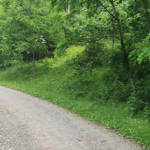 Photo #2 of Off Ravens Ridge, Lot H, Pearisburg, VA 34.3 acres