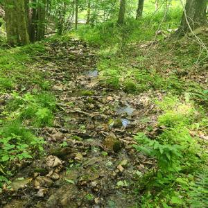 Photo #9 of Off Ravens Ridge, Lot H, Pearisburg, VA 34.3 acres