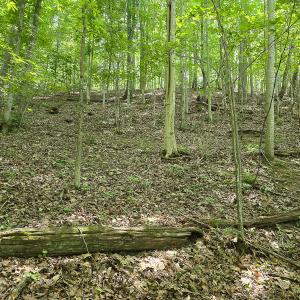 Photo #22 of Off Ravens Ridge, Lot H, Pearisburg, VA 34.3 acres