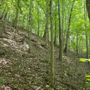 Photo #23 of Off Ravens Ridge, Lot H, Pearisburg, VA 34.3 acres