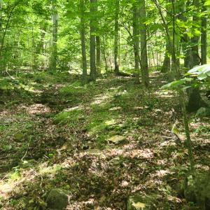 Photo #25 of Off Ravens Ridge, Lot H, Pearisburg, VA 34.3 acres