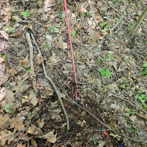 Photo #30 of Off Ravens Ridge, Lot H, Pearisburg, VA 34.3 acres