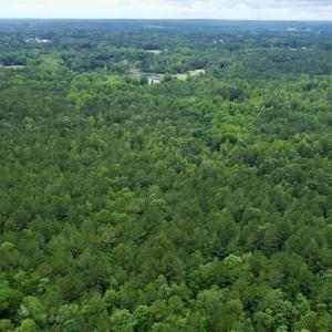 Photo #15 of Off Wayside Ln, Bunnlevel, NC 25.5 acres