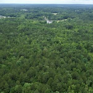 Photo #17 of Off Wayside Ln, Bunnlevel, NC 25.5 acres