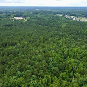 Photo #19 of Off Wayside Ln, Bunnlevel, NC 25.5 acres