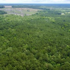 Photo #1 of Off Wayside Ln, Bunnlevel, NC 25.5 acres