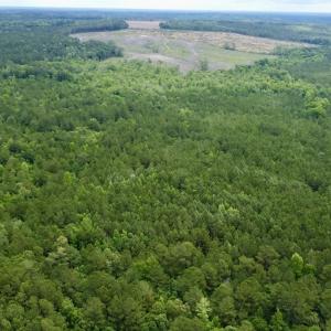 Photo #3 of Off Wayside Ln, Bunnlevel, NC 25.5 acres