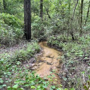 Photo #6 of Off Wayside Ln, Bunnlevel, NC 25.5 acres