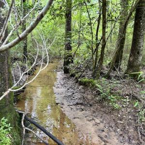Photo #8 of Off Wayside Ln, Bunnlevel, NC 25.5 acres