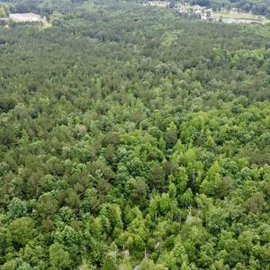 Photo #21 of Off Wayside Ln, Bunnlevel, NC 25.5 acres