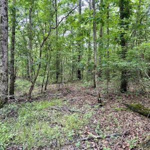 Photo #23 of Off Wayside Ln, Bunnlevel, NC 25.5 acres
