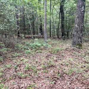 Photo #33 of Off Wayside Ln, Bunnlevel, NC 25.5 acres