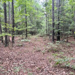 Photo #35 of Off Wayside Ln, Bunnlevel, NC 25.5 acres