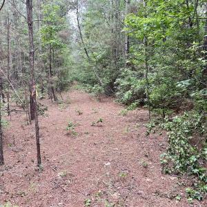 Photo #37 of Off Wayside Ln, Bunnlevel, NC 25.5 acres