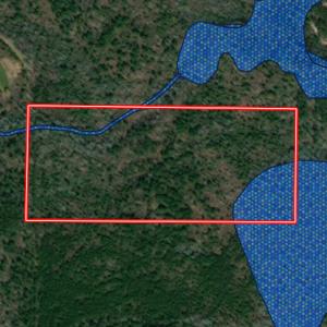 Photo #38 of Off Wayside Ln, Bunnlevel, NC 25.5 acres