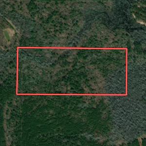 Photo #41 of Off Wayside Ln, Bunnlevel, NC 25.5 acres