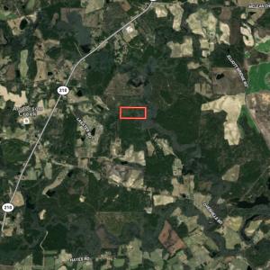Photo #40 of Off Wayside Ln, Bunnlevel, NC 25.5 acres