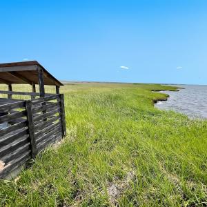 Photo #10 of Off Farrow Rd, Swan Quarter, NC 90.0 acres