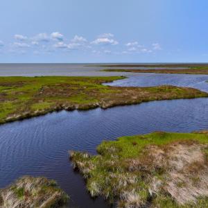 Photo #11 of Off Farrow Rd, Swan Quarter, NC 90.0 acres