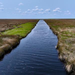 Photo #12 of Off Farrow Rd, Swan Quarter, NC 90.0 acres