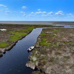 Photo #14 of Off Farrow Rd, Swan Quarter, NC 90.0 acres
