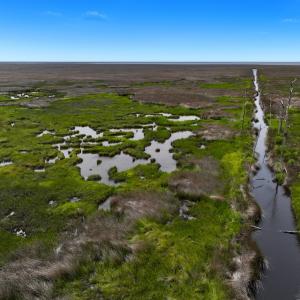 Photo #15 of Off Farrow Rd, Swan Quarter, NC 90.0 acres